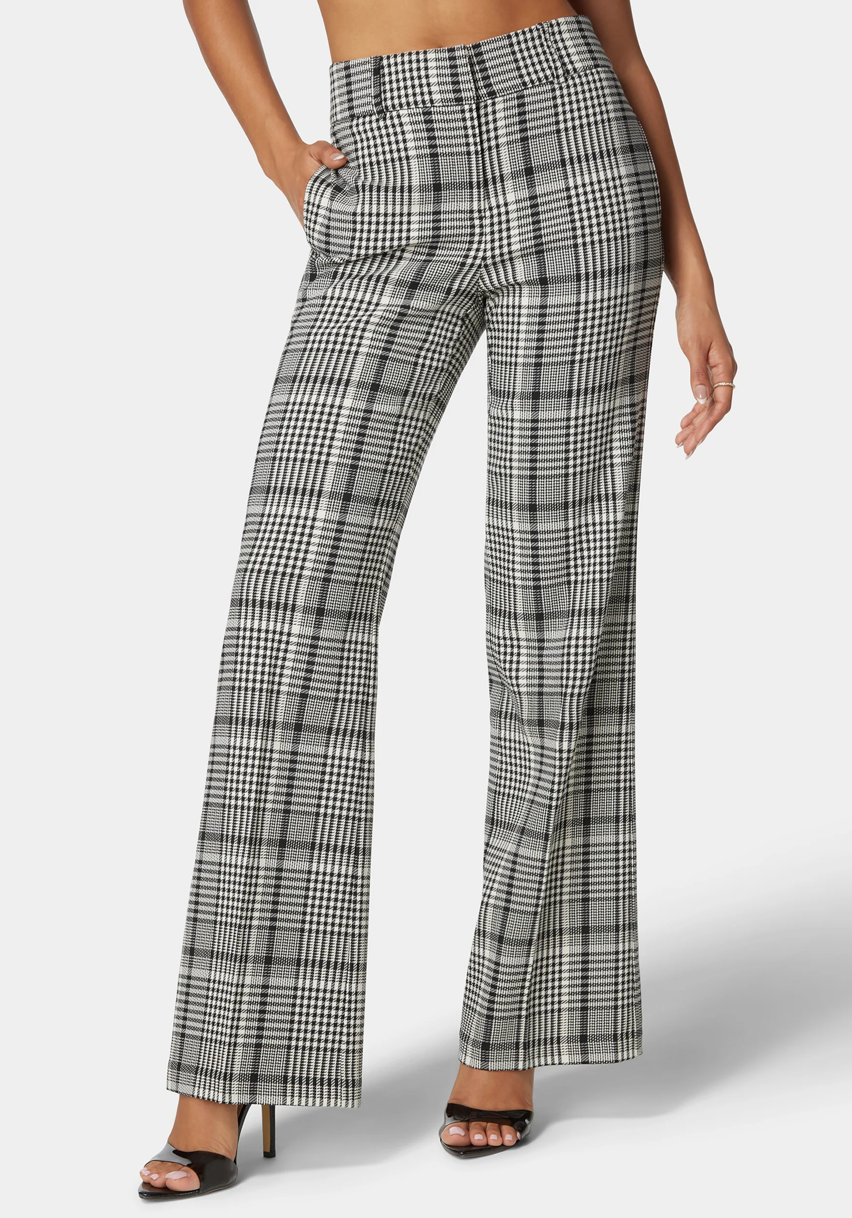 108377_black-white-alyssum_2